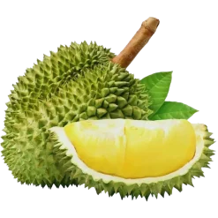 Sau rieng